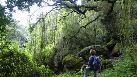 Sardinien – Kontraste der Ost- und Westküste