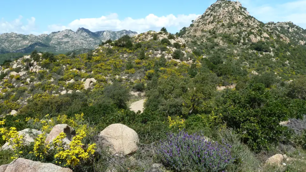 Sardinien – Kontraste der Ost- und Westküste