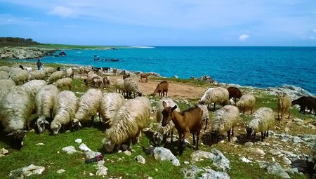 Apulien – Wandern & Kultur am Stiefelabsatz