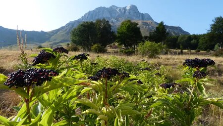 Italien – Trekking durch die Abruzzen