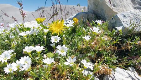 Italien – Trekking durch die Abruzzen