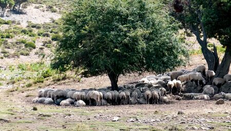 Sardinien – MTB Reise von Montevecchio zur Ostküste