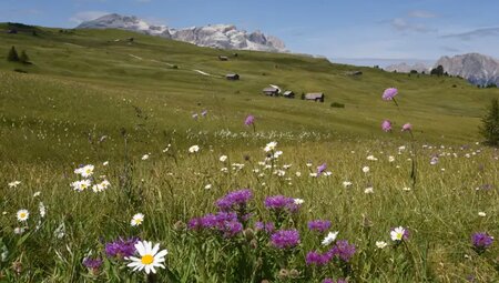 Dolomiten – Traversale von West nach Ost