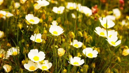 Nordspanien – Picos de Europa: Wandern mit Weitblick