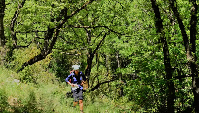 Spanien – Auf Schäferpfaden durch die Pyrenäen