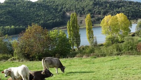 Spanien – Auf Schäferpfaden durch die Pyrenäen