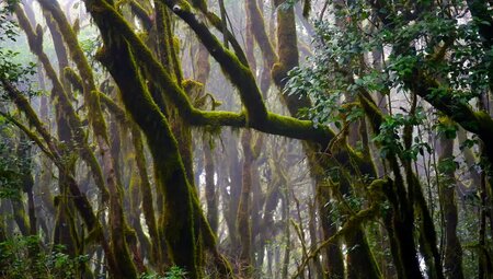 La Gomera – Wandern auf der grünen Vulkaninsel