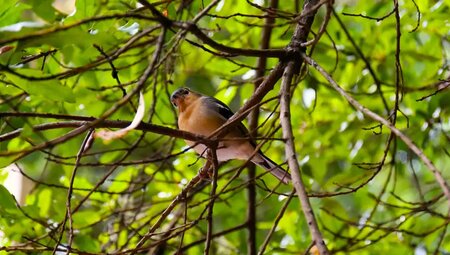 La Gomera – Wandern auf der grünen Vulkaninsel