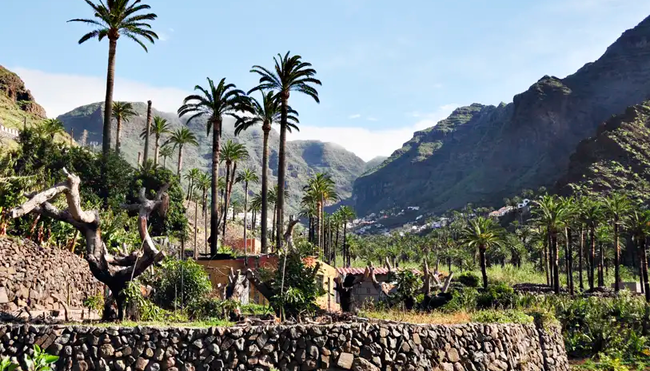 Kanarische Inseln – Vielfalt der Frühlingsinseln