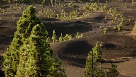 La Palma – Zu Fuß quer über die Isla Bonita