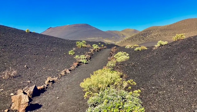 La Palma – Zu Fuß quer über die Isla Bonita