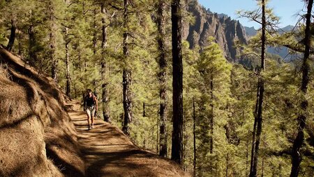 La Palma – Zu Fuß quer über die Isla Bonita