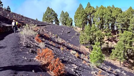 La Palma – Zu Fuß quer über die Isla Bonita