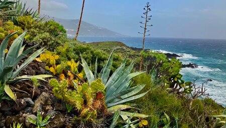 La Palma – Zu Fuß quer über die Isla Bonita