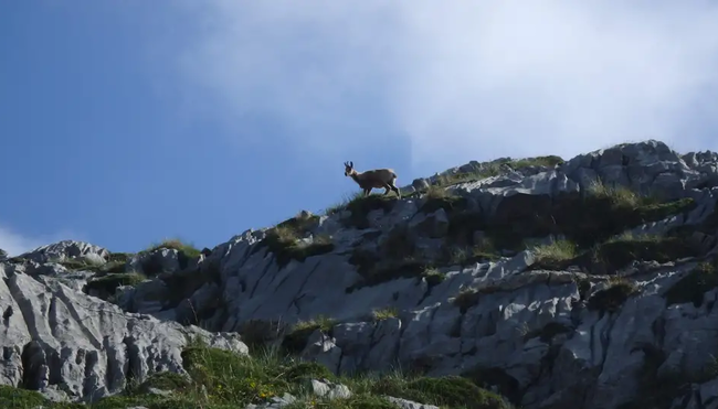 Asturien – Trekking in den Picos de Europa
