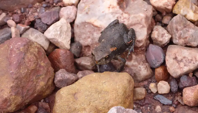 Asturien – Trekking in den Picos de Europa