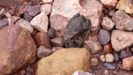 Asturien – Trekking in den Picos de Europa