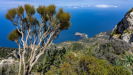 Mallorca – Wandern im Tramuntana Gebirge