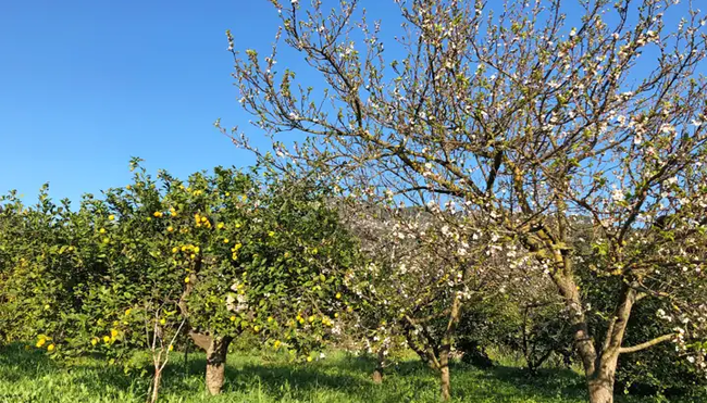 Mallorca – Auf dem GR 221 durch die Tramuntana