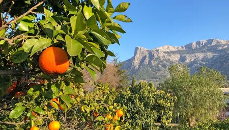 Mallorca – Auf dem GR 221 durch die Tramuntana