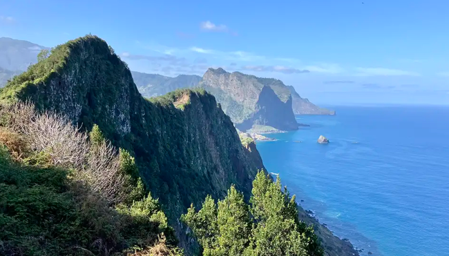 Madeira – Küstenwanderungen und blühende Gärten