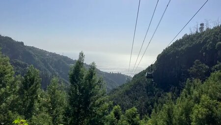 Madeira – Küstenwanderungen und blühende Gärten