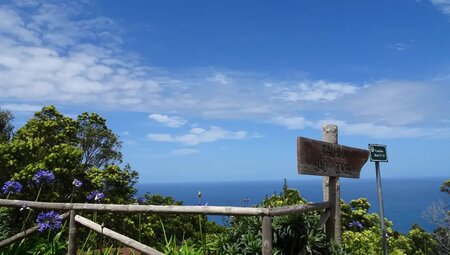 Madeira – Küstenwanderungen und blühende Gärten