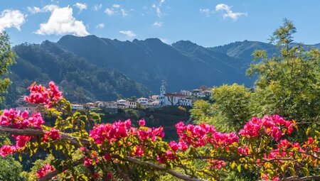 Madeira – Wanderwege auf der Blumeninsel