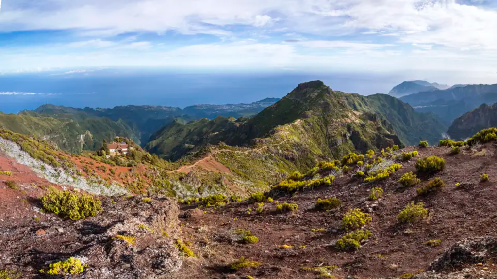 Madeira - Levadas, Lorbeer, Lavafelsen