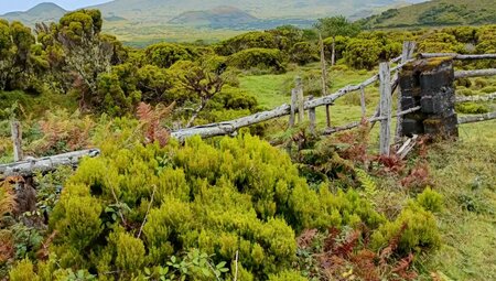Azoren – Wandern auf den Vulkaninseln im Atlantik