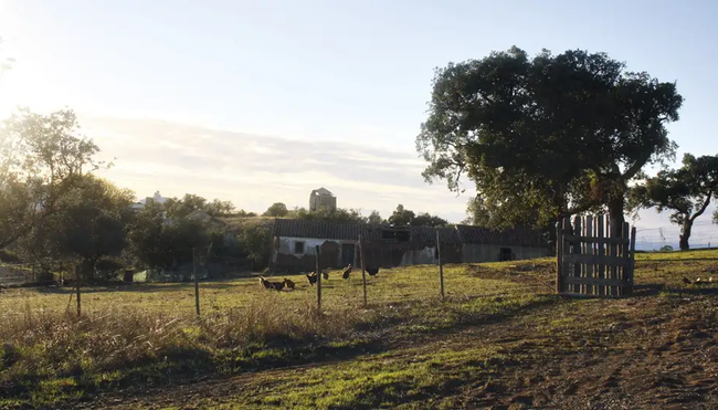 Portugal – Entlang der Costa Vicentina zur Algarve