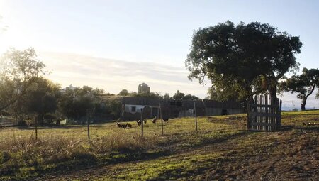 Portugal – Entlang der Costa Vicentina zur Algarve
