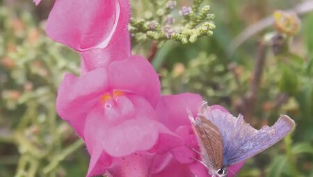 Portugal – Entlang der Costa Vicentina zur Algarve