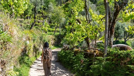 Portugal – Auf dem Jakobsweg durch den Norden