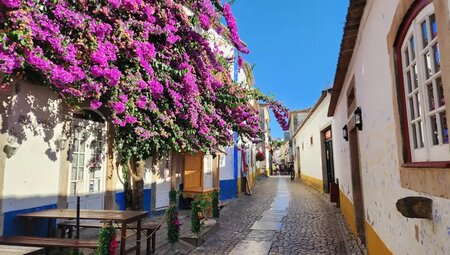 Portugal – Auf dem Jakobsweg durch den Norden