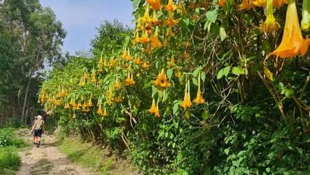 Portugal – Auf dem Jakobsweg durch den Norden
