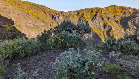 Madeira – Wilde Bergwelt des Zentralmassivs