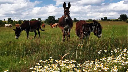 Portugal – MTB/E-MTB Reise: Algarve & Alentejo