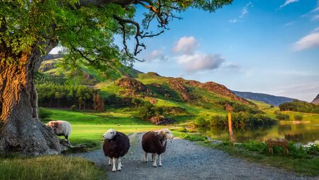 England – Coast to Coast Walk: Westlicher Teil