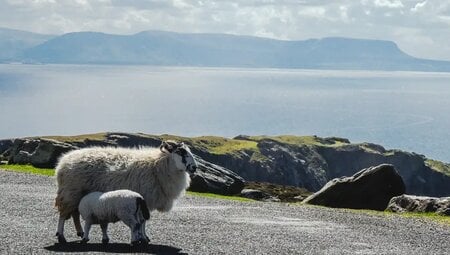 Irland, Nordirland – Vom Wild Atlantic Way nach Nordirland