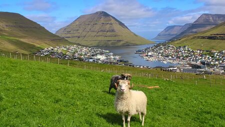 Färöer Inseln – Wandern durch die grüne Bergwelt