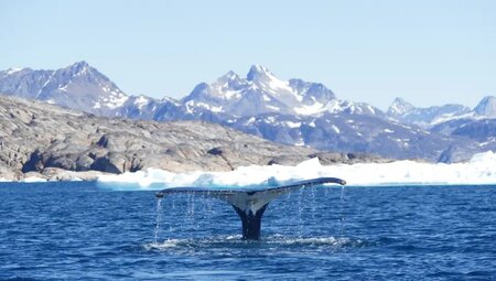 Grönland – Trekking im Banne des ewigen Eises