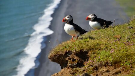 Island – Umrundung der Vulkaninsel