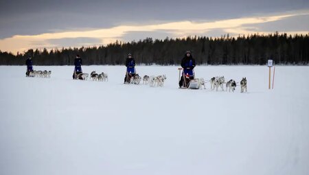 Finnland - Husky-Safari