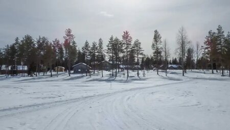 Finnland – Husky-Safari durch die Winterlandschaft