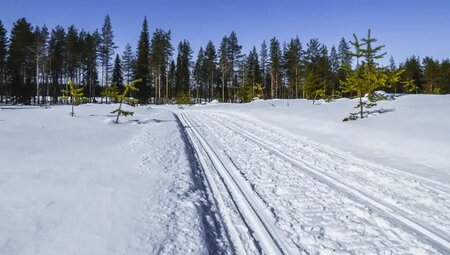 Finnland – Aktive Winterreise am Polarkreis