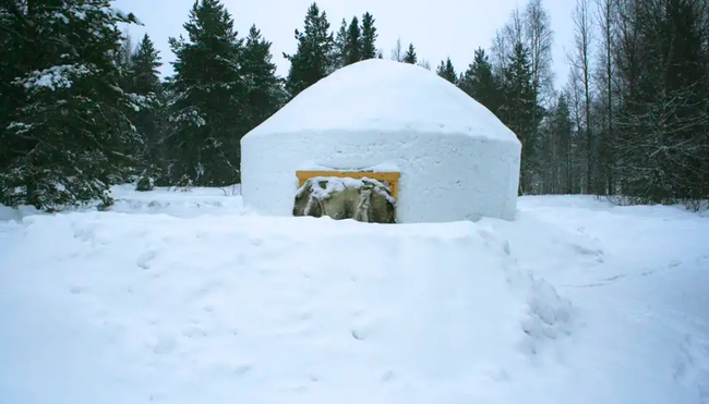 Finnland - Saija's Wintertraum