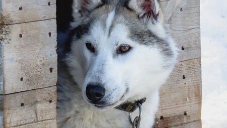 Finnland - Saija's Wintertraum