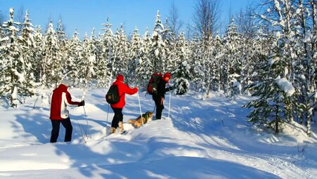 Finnland – Aktive Winterreise am Polarkreis