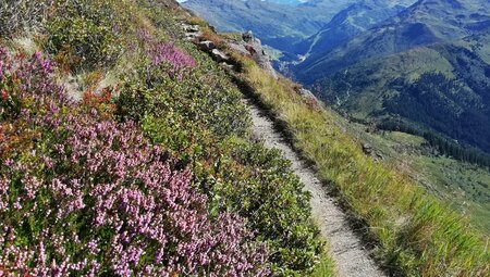 Alpenüberquerung – Tegernsee – Sterzing: Die Komfort-Tour